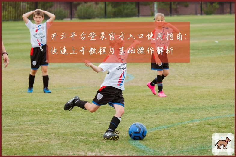 开云平台登录官方入口使用指南：快速上手教程与基础操作解析