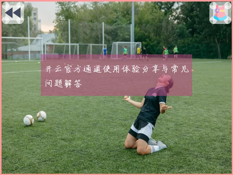 开云官方通道使用体验分享与常见问题解答