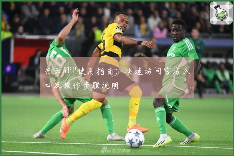 开云APP使用指南：快速访问官方入口及操作步骤说明