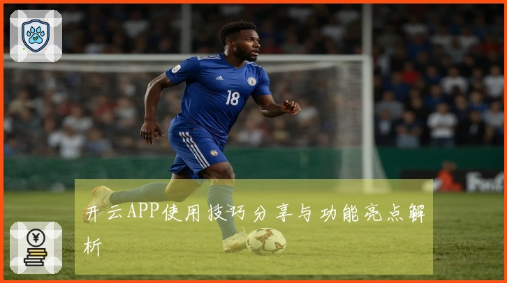 开云APP使用技巧分享与功能亮点解析