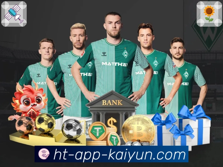 开云站内搜索增强